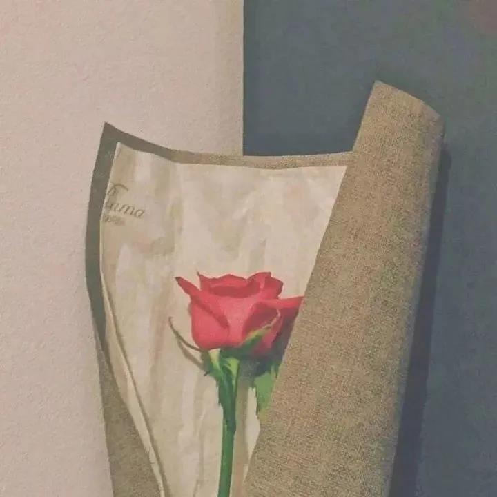 治愈情感文案短句