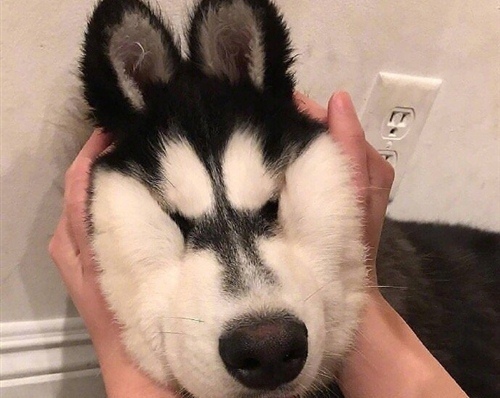 大半夜拉肚子的说说24句