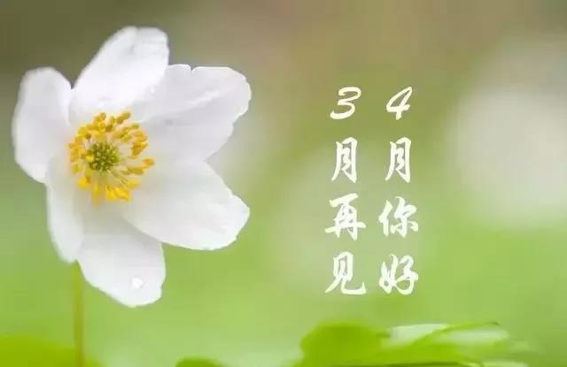 三月再见四月你好说说带字图片