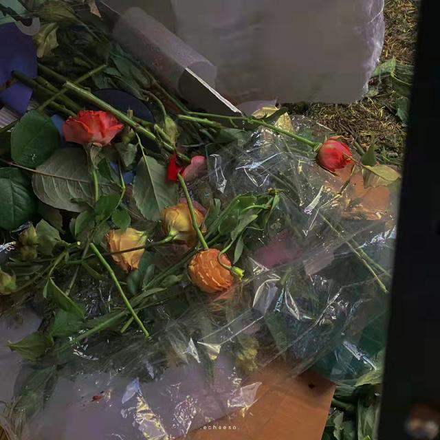 一张照片一首歌寄托情感文案(听歌文案图片)