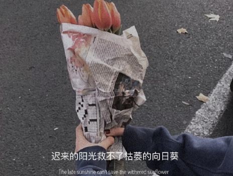 分手后的伤感扎心句子收录14句