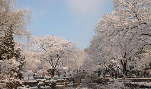 下雪天发的文案短语 抖音下雪超级火的句子27句