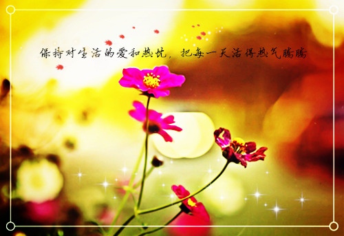 女生节适合发的朋友圈 2021女生节朋友圈说说24句