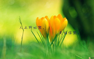 早安图片2021新图片