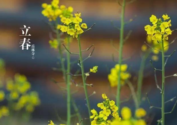 适合立春发的朋友圈图片