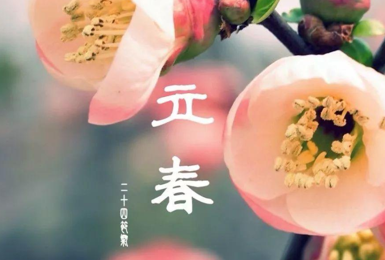 适合立春发的朋友圈图片