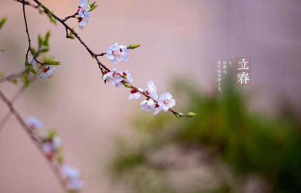 立春句子说说