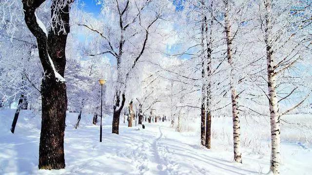 下雪感悟人生的句子