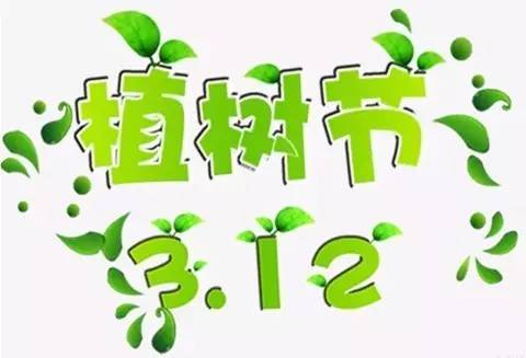 关于种树的心情短语