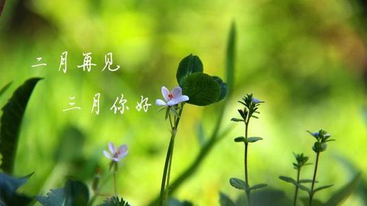 三月你好的心情说说