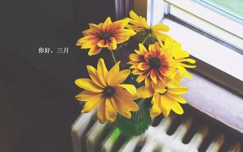 二月再见三月你好心语