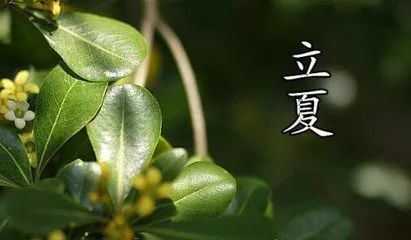 立夏来了的心情说说21句