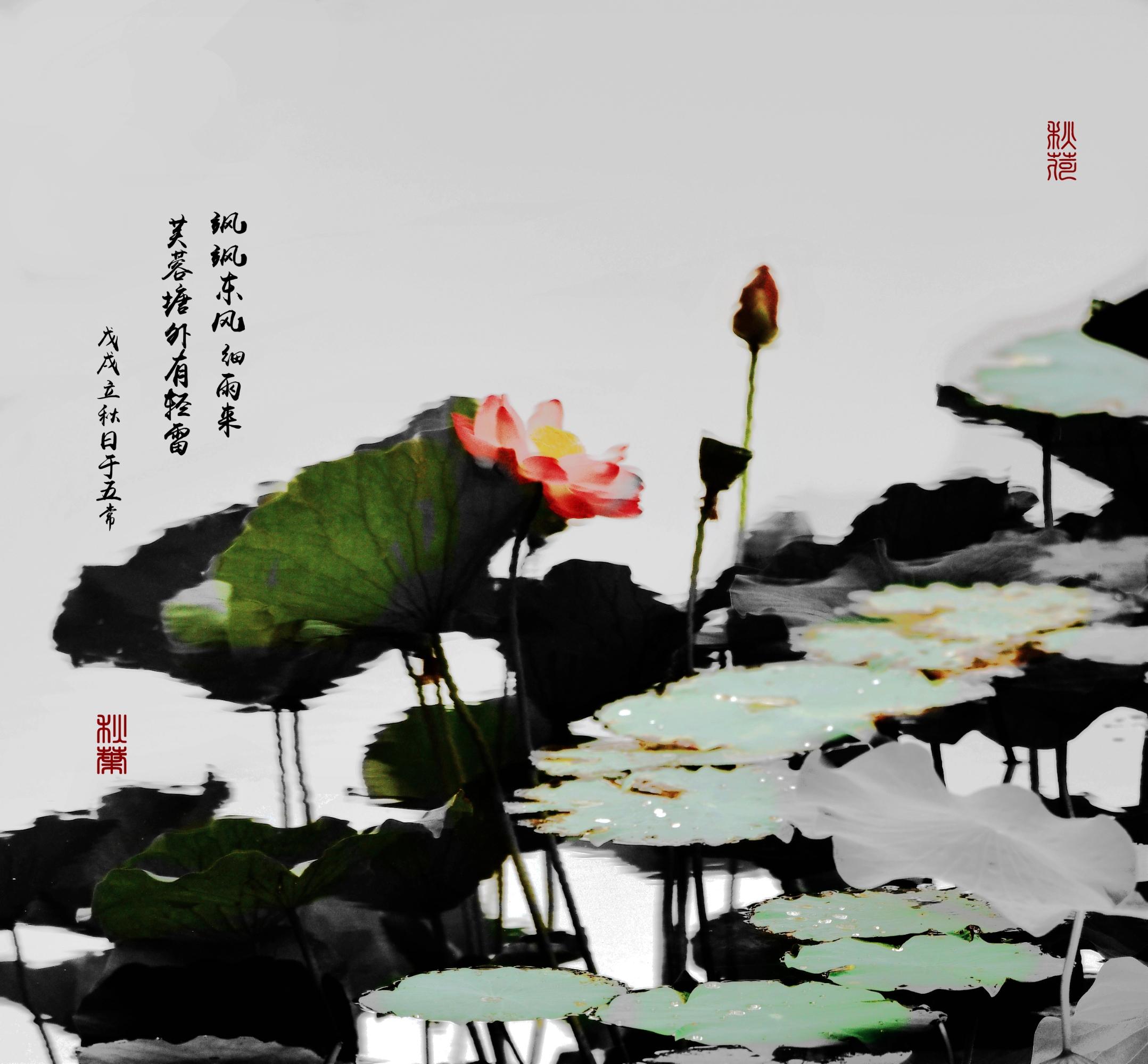 《》的无排版文字预览以及下方图片预览（二）