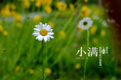 小满祝福短信