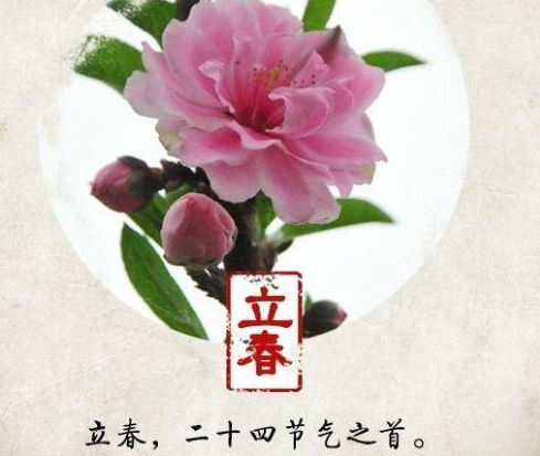 适合立春发的朋友圈