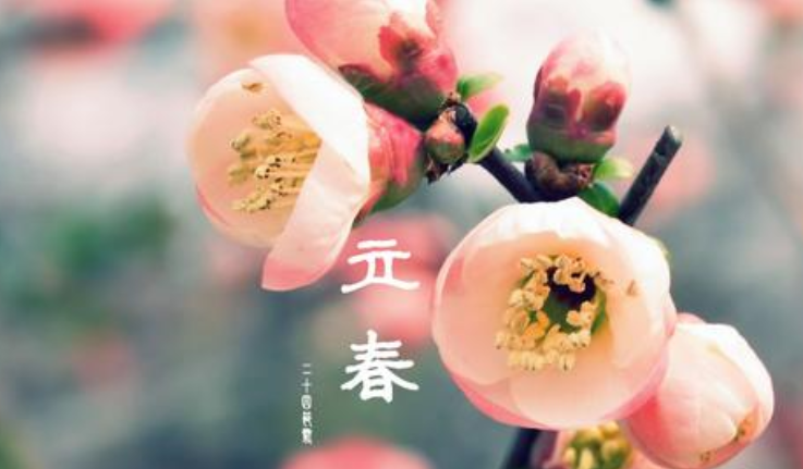 适合立春发的朋友圈