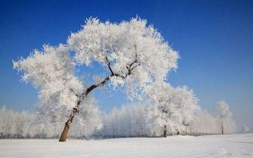 下雪天发朋友圈的配文 发朋友圈看雪的句子28句