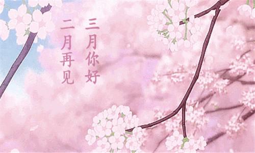 跟闺蜜赏花拍照的朋友圈文案