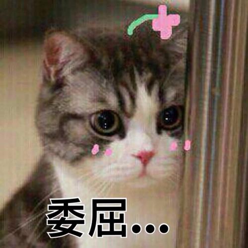 被朋友误会的心情句子和图片带字