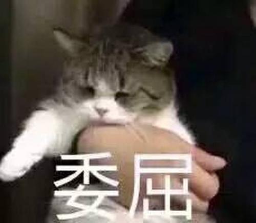 被朋友误会的心情句子和图片带字