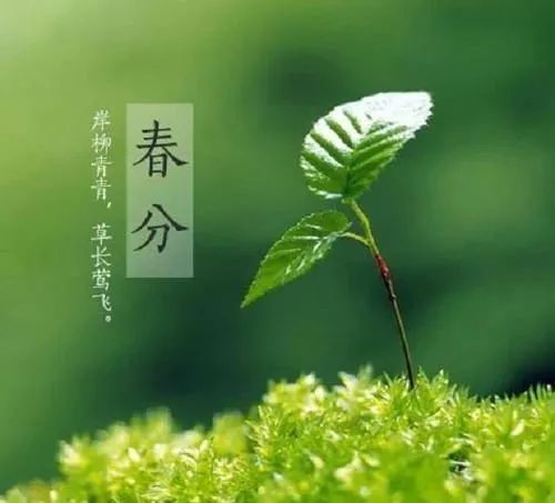 描写赞美春分的诗