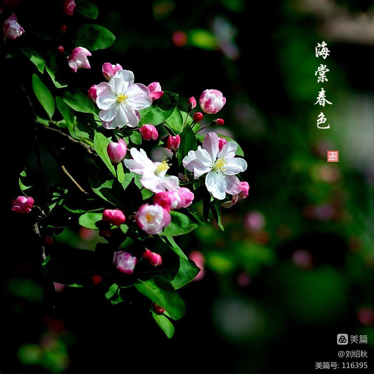 【知识点】诗是应考草三年(787)作者时年十六