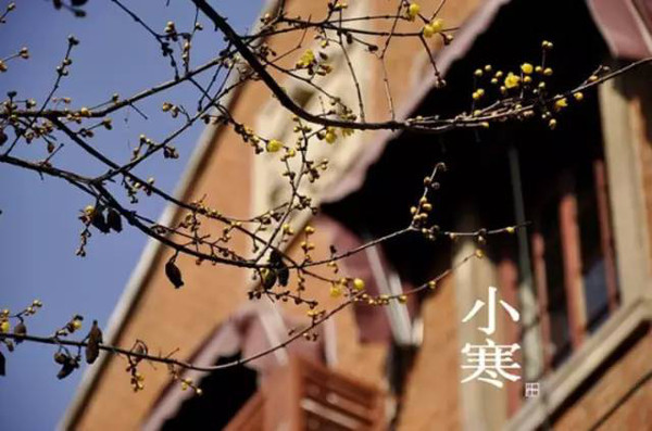 关于小寒的文案