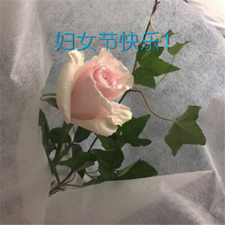 最新三八妇女节说说经典大全