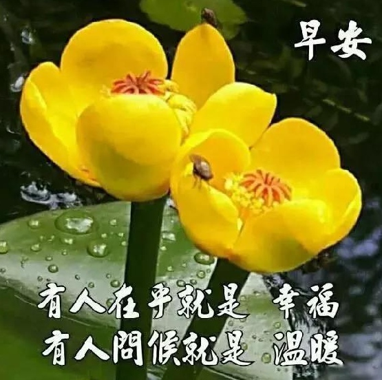 早安美丽的清晨图片 精美早安图片