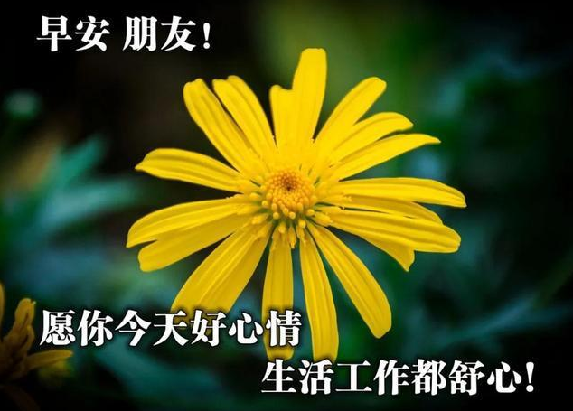 清晨的祝福温馨短语 清晨问候语简短