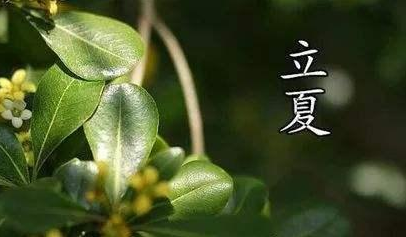 立夏图片大全图片带字 关于立夏的图片