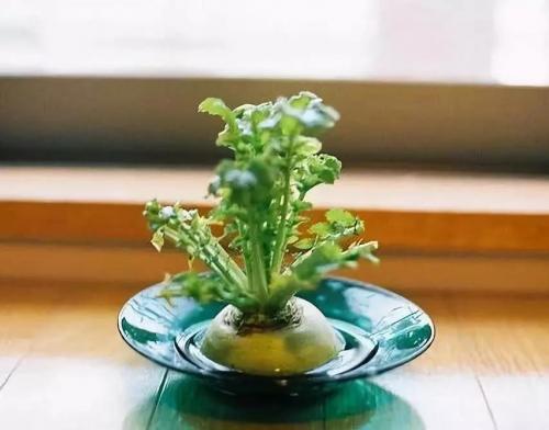 简短文艺小清新短句说说10句