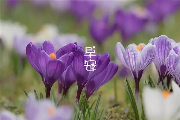 励志奋斗正能量语录