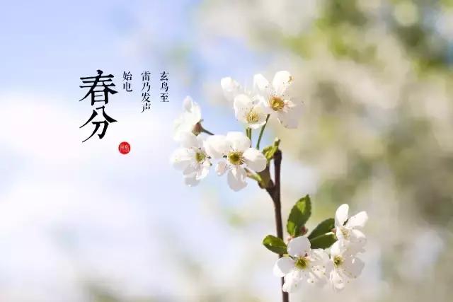 春分发朋友圈的句子