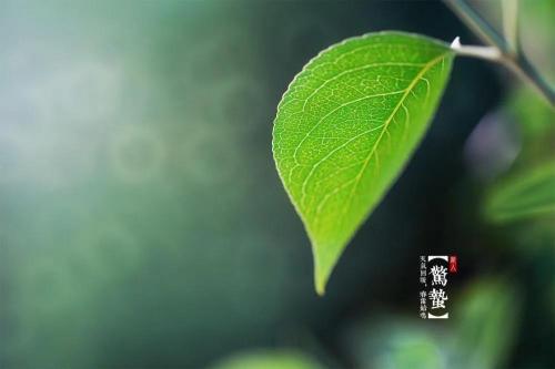 今日惊蛰朋友圈说说24句