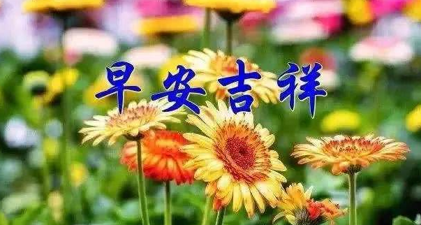 早安祝福图片最新 分享今日早安图片