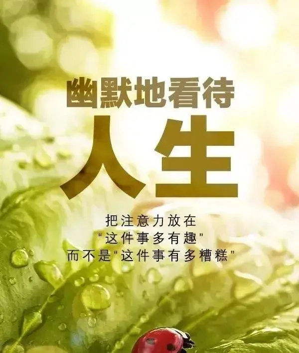 一点一滴的成长文案励志(记录点滴的文案)