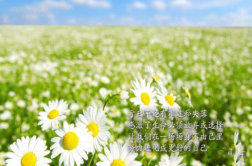 我在你心里到底算什么