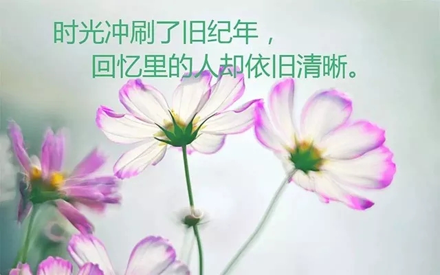 努力学习积极向上的座佑铭