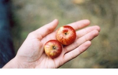 适合发朋友圈的励志句子 适合无聊时发的朋友圈
