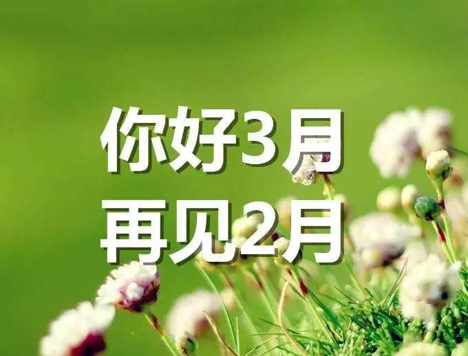 二月再见的图片和句子