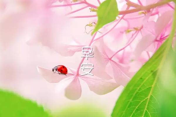 2021早上好短句 情话短句