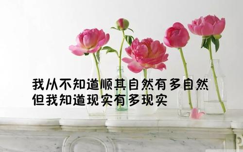 比较励志的句子说说心情经典语录