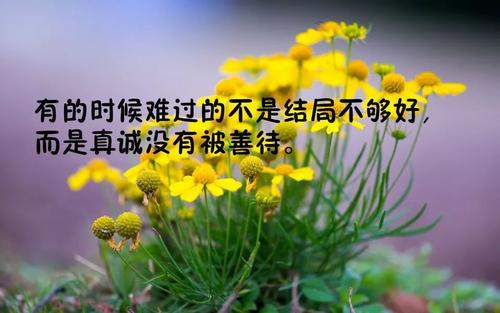 比较励志的句子说说心情经典语录