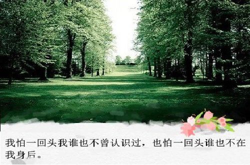 不管多远，愿等千年