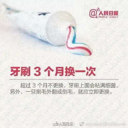 胖鸭情感语录文案(加油鸭的文案)