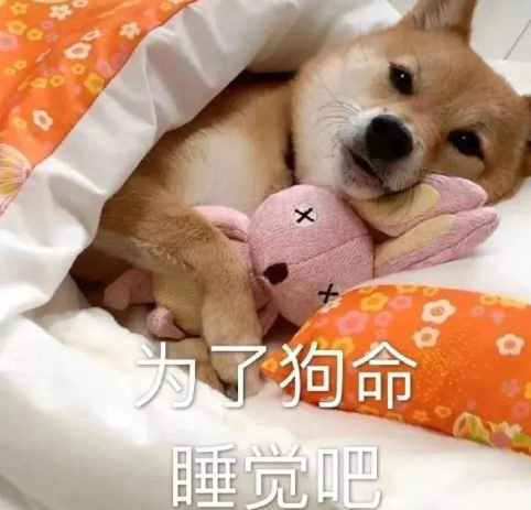 2021朋友圈沙雕求偶文案