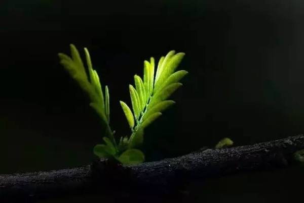 朋友圈有质感的句子