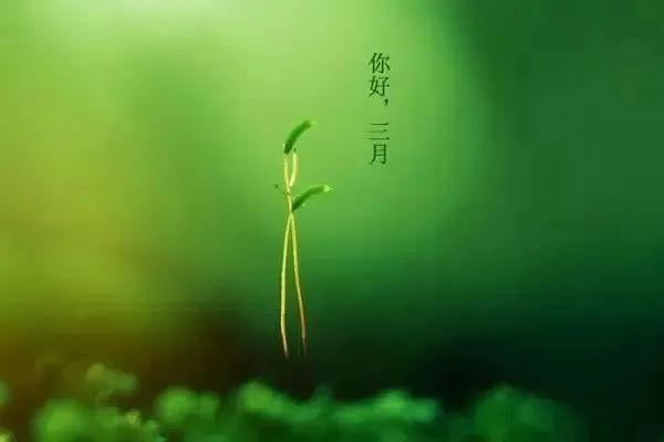 二月再见三月你好图片