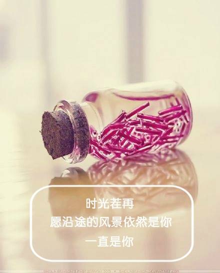把生活过成你喜欢的样子经典语录